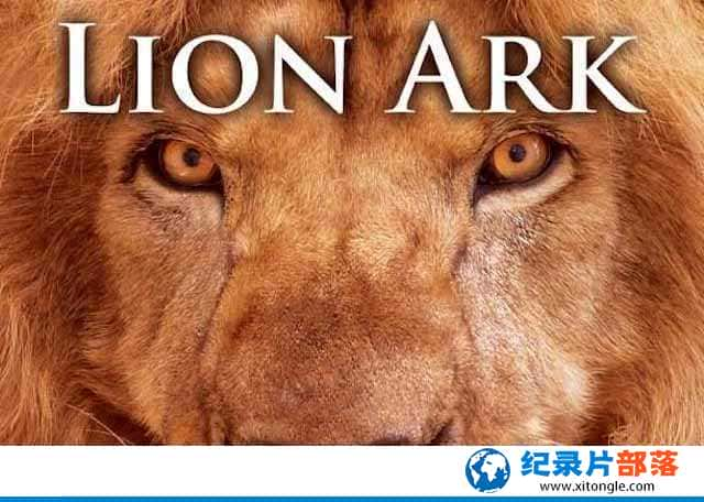 Ұﱣ¼Ƭʨӷ Lion Arkȫ1-Ѹ