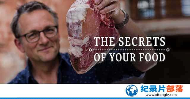 BBCʳѧ¼Ƭʳ The Secrets Of Your Foodȫ3 -Ѹ