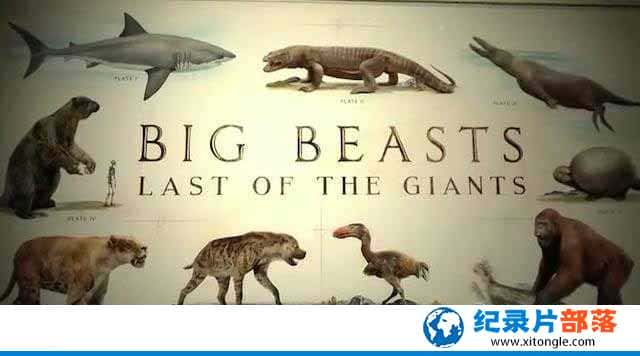 Ұﱣ¼Ƭռ޵ Big Beasts: Last of the Giantsȫ3-Ѹ