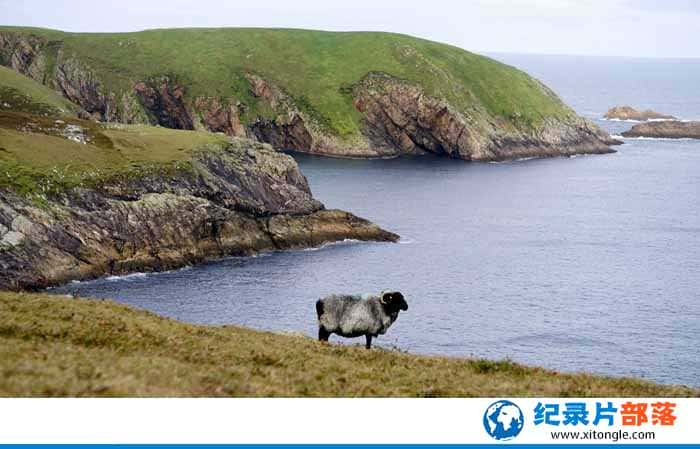 Ȼ̬¼ƬҰ԰ Wild Irelandȫ1-Ѹ