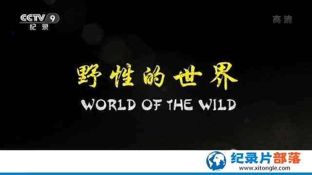 Ȼ̬¼ƬҰԵ World of the Wildȫ6-Ѹ