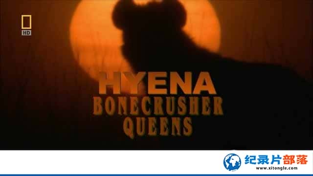 ҵҰ¼Ƭ๷ս Hyena:Bonecrusher Queenȫ1 -Ѹ