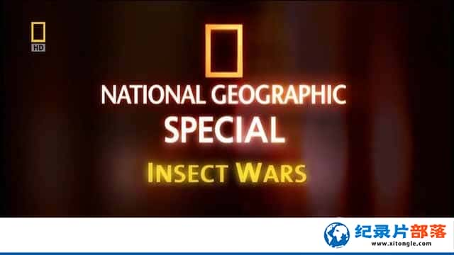 ҵȻ̬¼Ƭս Insect Warsȫ1 -¼Ƭ1080P/720P/360PѸ