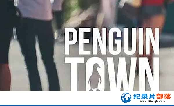 NetflixȻ̬¼ƬС Penguin Townȫ8 -Ѹ