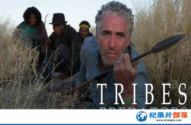 BBC̽ռ¼Ƭ䡢޺ Tribes Predators and Meȫ2 -Ѹ