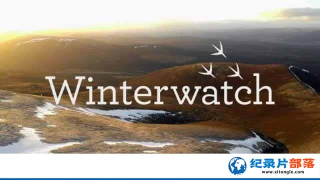 BBCౣ¼Ƭ Winterwatchȫ4ԭ -Ѹ