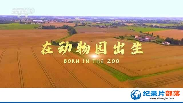 ҵﲸ¼Ƭڶ԰ Born in the Zooȫ1-Ѹ