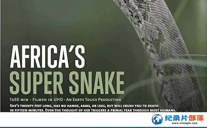 ҵо¼Ƭһ Africas Super Snakeȫ1-Ѹ