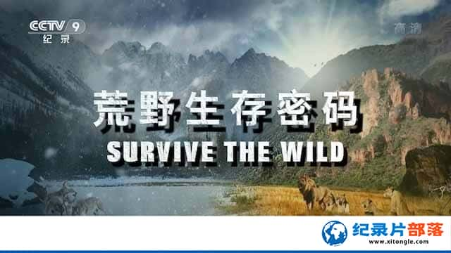 ҵҰ¼ƬҰ Survive the Wildȫ6-Ѹ