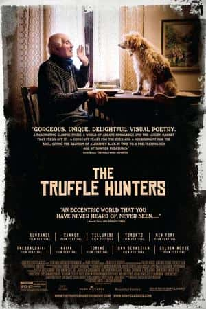 Ƽ¼Ƭ¶ˡ(2020)The Truffle Hunters-Ѹ