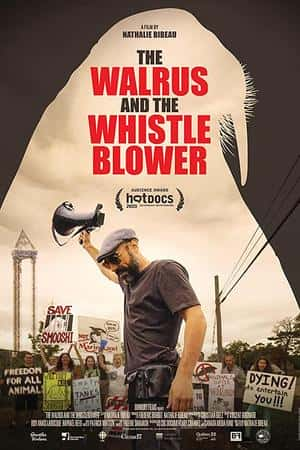 Ƽ¼Ƭ봵ˡ(2020)The Walrus and the Whistleblower-Ѹ