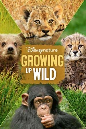 Ƽ¼ƬGrowing Up Wild(2016)-Ѹ