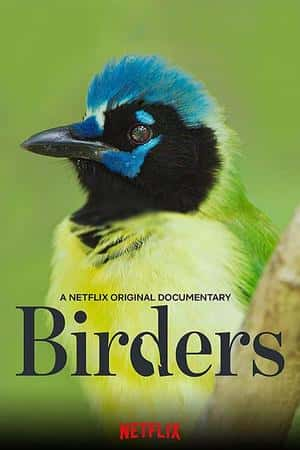 Ƽ¼Ƭߡ(2019)Birders-Ѹ