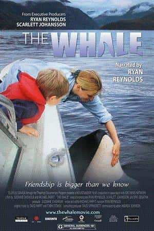 Ƽ¼Ƭ(2010)The Whale-Ѹ