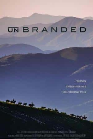 Ƽ¼Ƭ֮á(2015)Unbranded-Ѹ