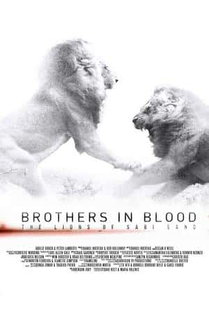 Ƽ¼Ƭʨ֮·(2015)Brothers in Blood: The Lions of Sabi Sand-Ѹ