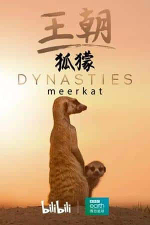 Ƽ¼ƬBؼ(2020)Dynasties: Meerkat Special-Ѹ