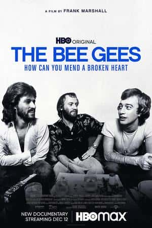 Ƽ¼Ƭȼ˹޸顷(2020)The Bee Gees: How Can You Mend a Broken Heart-Ѹ