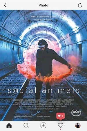 Ƽ¼Ƭ罻(2018)Social Animals-Ѹ