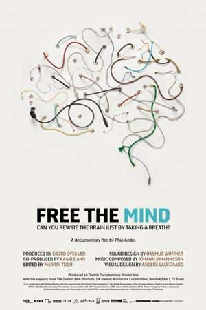 Ƽ¼Ƭ顷(2011)Free the Mind-Ѹ