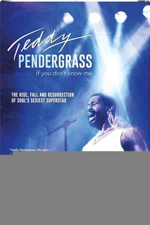 Ƽ¼Ƭ̩ϡ¸˹:㲻ʶҡ(2018)Teddy Pendergrass: If You Don't Know Me-Ѹ