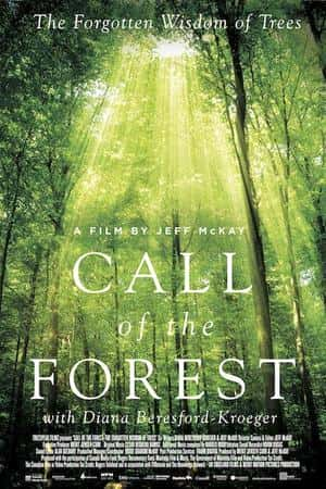 Ƽ¼ƬCall of the Forest: The Forgotten Wisdom of Trees(2016)-Ѹ