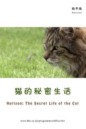 Ƽ¼Ƭè(2013)Horizon: The Secret Life of the Cat-Ѹ