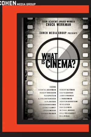 Ƽ¼ƬʲôǵӰ(2013)What Is Cinema?-Ѹ