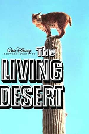 Ƽ¼ƬɳĮۡ(1953)The Living Desert-Ѹ