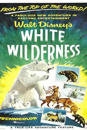 Ƽ¼ƬɫĻĵء(1958)White Wilderness-Ѹ