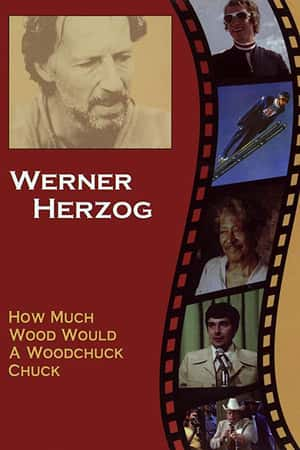 Ƽ¼Ƭһֻܿе١(1976)How much Wood would a Woodchuck chuck... - Beobachtungen zu einer neuen Sprache-Ѹ