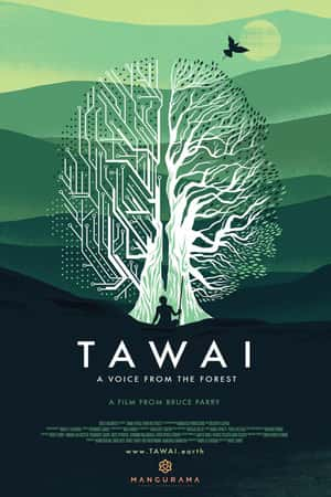 Ƽ¼ƬTawai: A voice from the forest(2017)-Ѹ