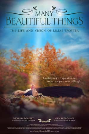 Ƽ¼ƬMany Beautiful Things(2015)-Ѹ