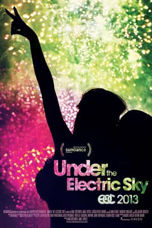 Ƽ¼ƬEDC 2013: Under the Electric Sky(2014)-Ѹ