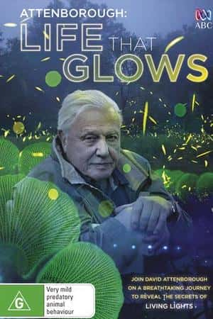 Ƽ¼ƬǱ֮⡷(2016)Attenborough's Life That Glows-Ѹ