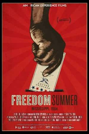 Ƽ¼Ƭ֮ġ(2014)Freedom Summer-Ѹ