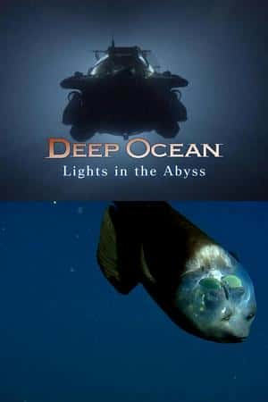 Ƽ¼ƬԨ֮⡷(2016)Deep Ocean: Lights in the Abyss-Ѹ