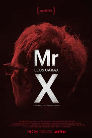 Ƽ¼ƬX(2014)Mr. X-Ѹ