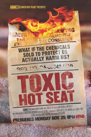 Ƽ¼ƬToxic Hot Seat(2013)-Ѹ