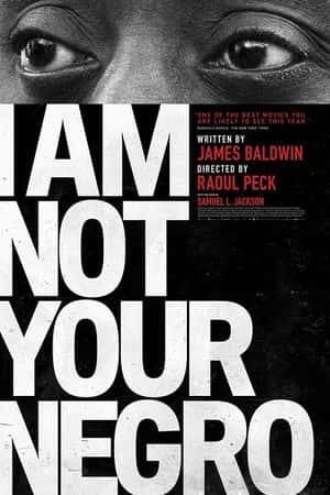 Ƽ¼ƬҲĺڹ(2016)I Am Not Your Negro-Ѹ