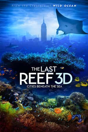 Ƽ¼Ƭɺ(2012)The Last Reef: Cities Beneath the Sea-Ѹ