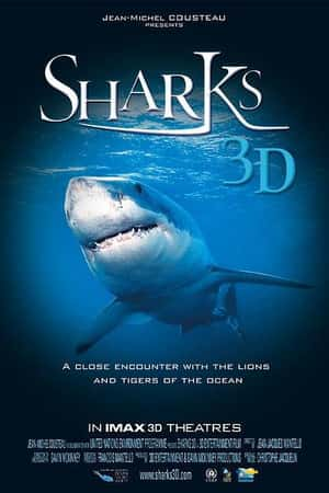 Ƽ¼Ƭ 3D(2004)sharks 3D-Ѹ