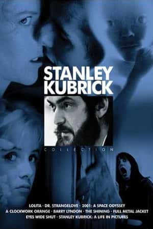 Ƽ¼Ƭ˹̹ⲼˣӰ(2001)Stanley Kubrick: A Life in Pictures-Ѹ