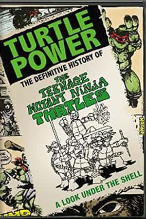 Ƽ¼Ƭʷ(2014)Turtle Power The Definitive History of the Teenage Mutant Ninja Turtles-Ѹ