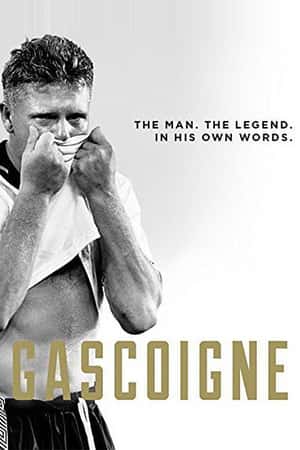 Ƽ¼Ƭ˹(2015)Gascoigne-Ѹ