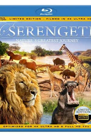 Ƽ¼Ƭ׸ǵ٣Ȼ׳۵ó̡(2013)Serengeti: Nature's Greatest Journey-Ѹ