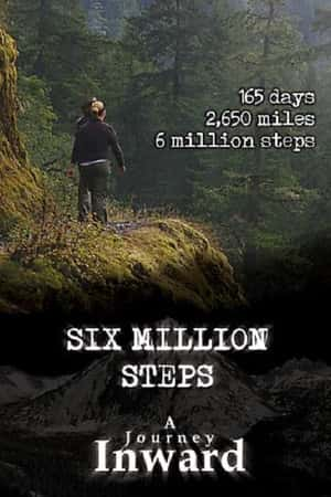 Ƽ¼Ƭڵó̡(2011)Six Million Steps: A Journey Inward-Ѹ