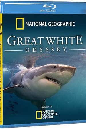 Ƽ¼ƬGreat White Odyssey(2008)-Ѹ