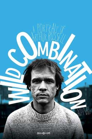 Ƽ¼ƬWild Combination: A Portrait of Arthur Russell(2008)-Ѹ