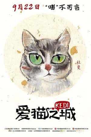 Ƽ¼Ƭè֮ǡ(2016)Kedi-Ѹ